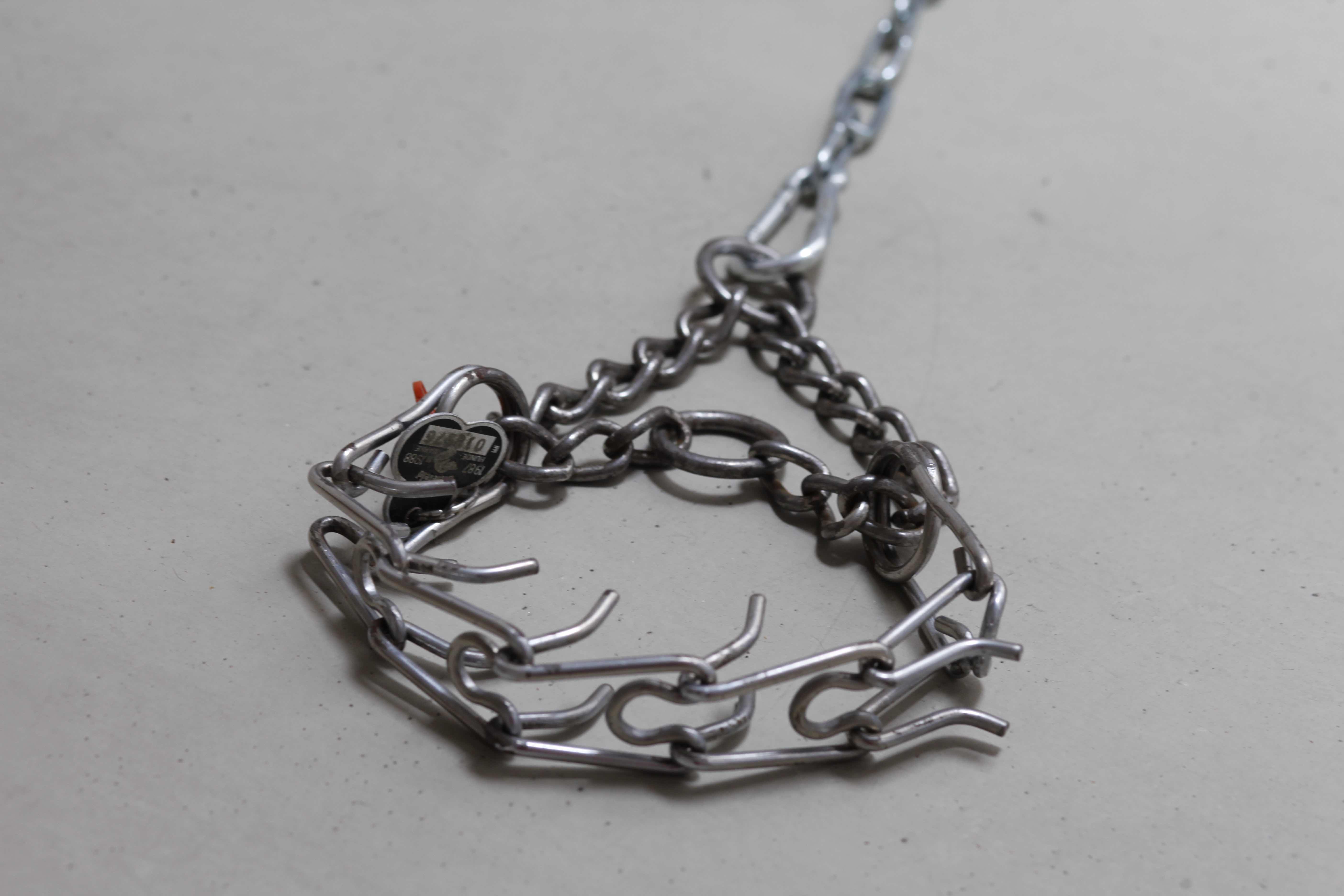 Sculpture. Prong Collar and Metal Chain.